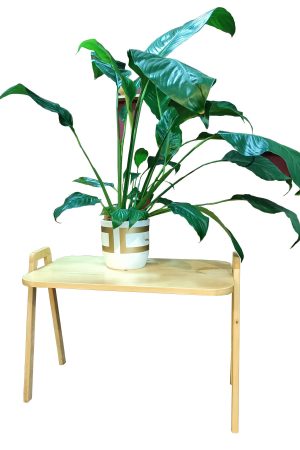 Masif Ahşap 4 Lü Zigon Sehpa 60 X 38 Cm Servis Sehpası A60-s4 - Görsel 4
